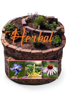 Gardening with Elizabeth Martens Book 6 Herb Guide Kindle-0