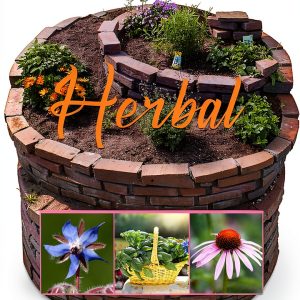 Gardening with Elizabeth Martens Book 6 Herb Guide Kindle-0