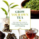 Timber Press Coffee & Tea Gardening Guide Illustrated Edition 2020-0