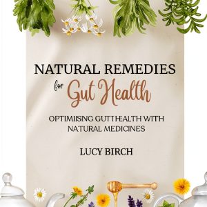 Irritable Bowel Syndrome Relief Guide by Naturally Minded Publishing-0
