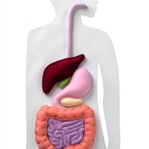 Irritable Bowel Syndrome Guide Kindle Edition by Wild Peach Press –-0