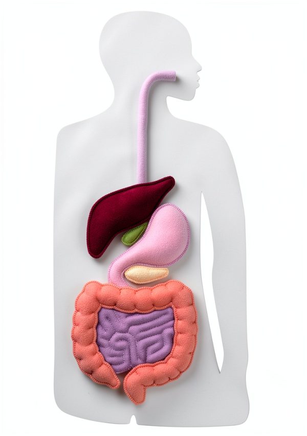 Irritable Bowel Syndrome Guide Kindle Edition by Wild Peach Press –-0